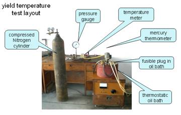 Temperature test system for fusible plugs